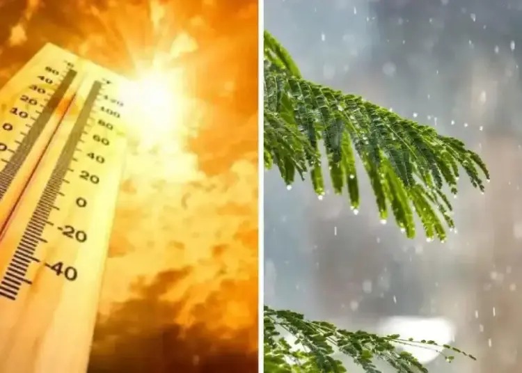 छत्तीसगढ़ में बदलेगा मौसम: 19-21 मार्च तक बारिश की संभावना, तापमान में गिरावट संभव