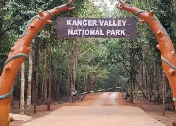 CG कांगेर घाटी राष्‍ट्रीय उद्यान: पार्क को यूनेस्‍को ने विश्‍व धरोहर की सूची में किया शामिल, अब अगला कदम ये होगा