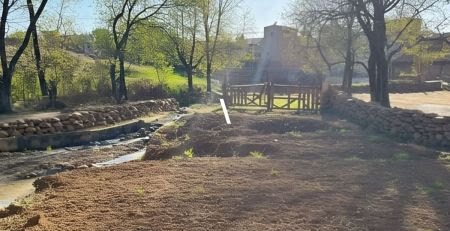 बिलासपुर : अवैध प्लॉटिंग पर नगर निगम की सख्ती, छह जमीनों की रजिस्ट्री पर तत्काल रोक