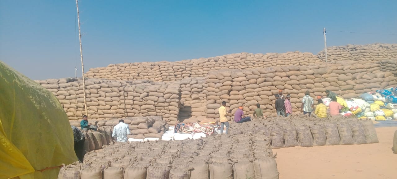 सूरजपुर में धान उठाव ठप, खरीदी केंद्रों में बिगड़ी व्यवस्था — किसान और प्रबंधक दोनों परेशान