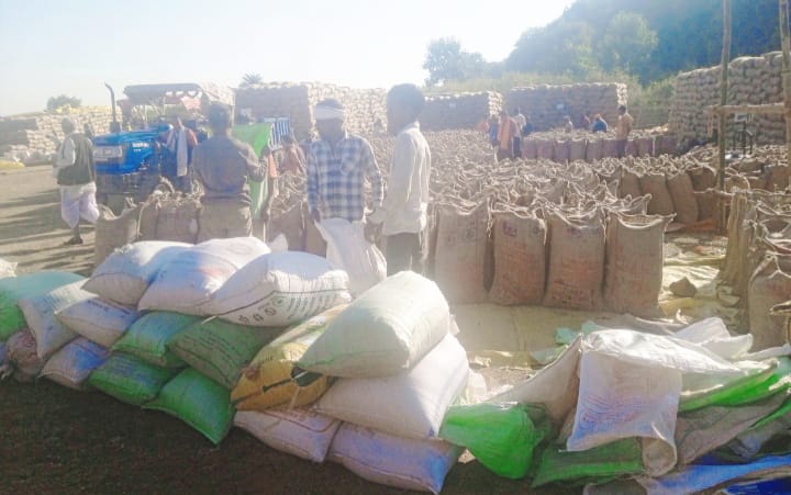 ‘टोकन तुंहर हाथ’ ऐप से धान खरीदी हुई सुव्यवस्थित और पारदर्शी