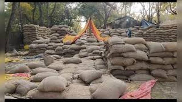 खरीफ विपणन वर्ष 2025-26: मुख्यमंत्री के निर्देश पर निरीक्षण तेज, दुर्ग में धान खरीदी प्रक्रिया पर प्रशासन की बड़ी कार्रवाई