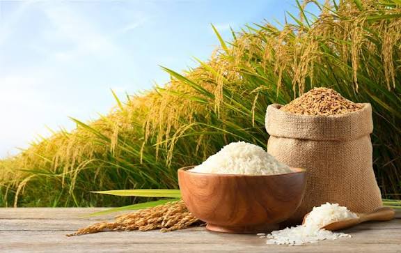 चावल उत्पादन में भारत नंबर वन, चीन को पछाड़कर हासिल किया पहला स्थान