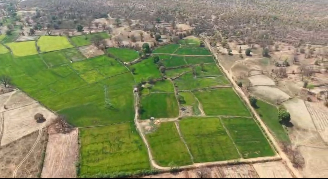 रायगढ़ में ड्रोन का ‘महाअभियान’: तमनार–घटगांव के बाद मुडागांव में अफीम खेती पर ताबड़तोड़ प्रहार, बैक-टू-बैक 3 बड़ी कार्रवाइयों से मचा सनसनी!