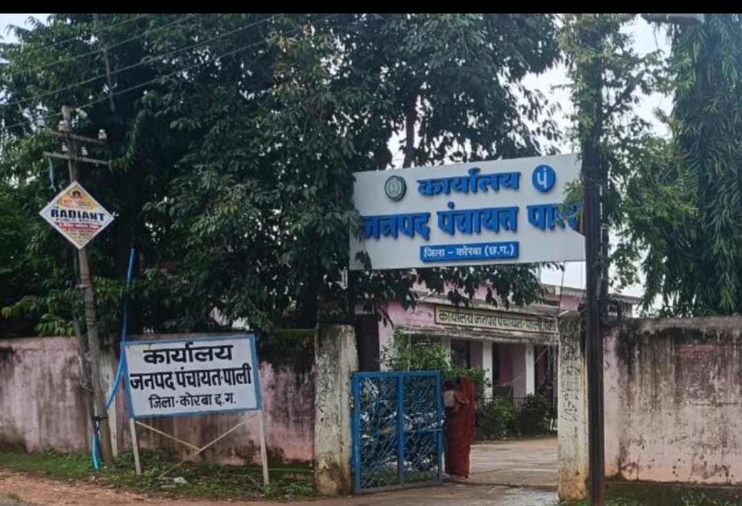 आवास सत्यापन को लेकर पाली विकासखंड की सभी ग्राम पंचायतों में हुई ग्राम सभा, हितग्राहियों की जानकारी का हुआ सत्यापन