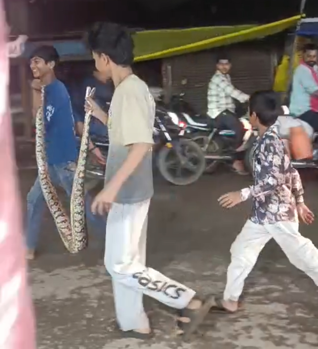 चांटीडीह में रात 9 बजे दिखा अजगर, मौके पर जुटी लोगों की भीड़; सुरक्षित प्राकृतिक वातावरण में छोड़ा गया